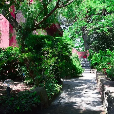 Il Giardino Selvatico Di Succellario - * Barano d'Ischia