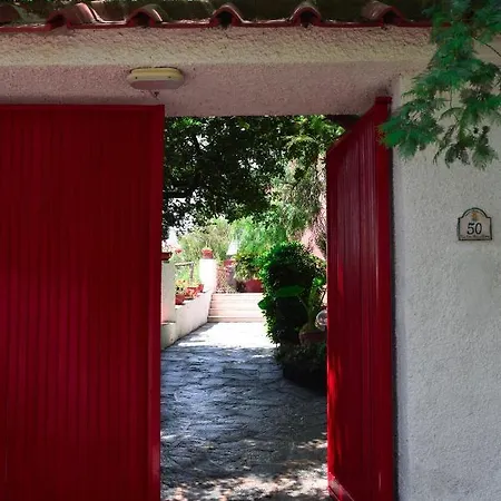 Il Giardino Selvatico Di Succellario -